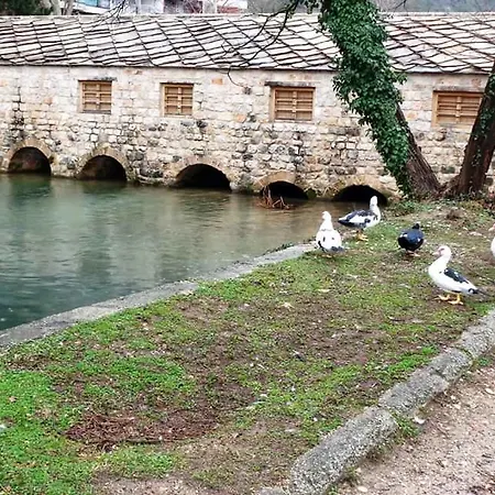 Gasthuis At Grandma's Fatima Stolac